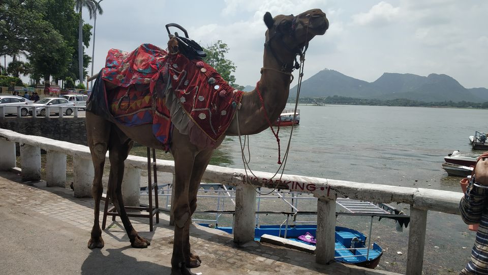 Photo of UDAIPUR: CAN BE YOUR BEST DESTINATION THIS WINTERS 26/131 by Sunny Reeta Wadhwani
