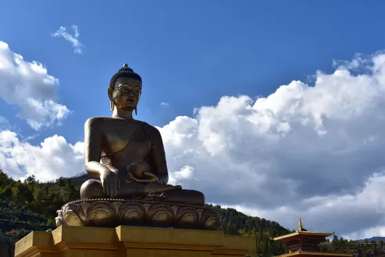 Photo of Saṃsāra: Bhutan Diaries by Uttara Garg