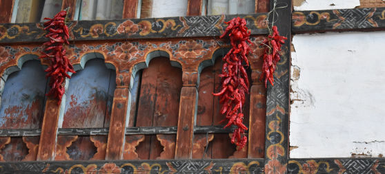 Photo of Saṃsāra: Bhutan Diaries by Uttara Garg