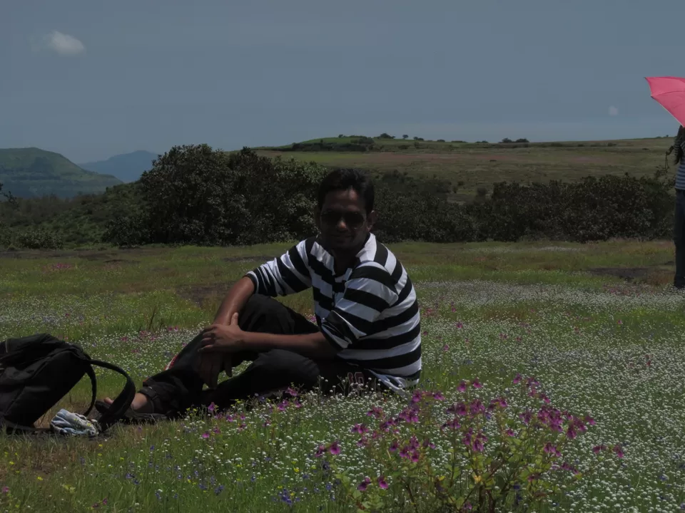 Photo of Kaas, Kas, Maharashtra, India by Rohit Soni