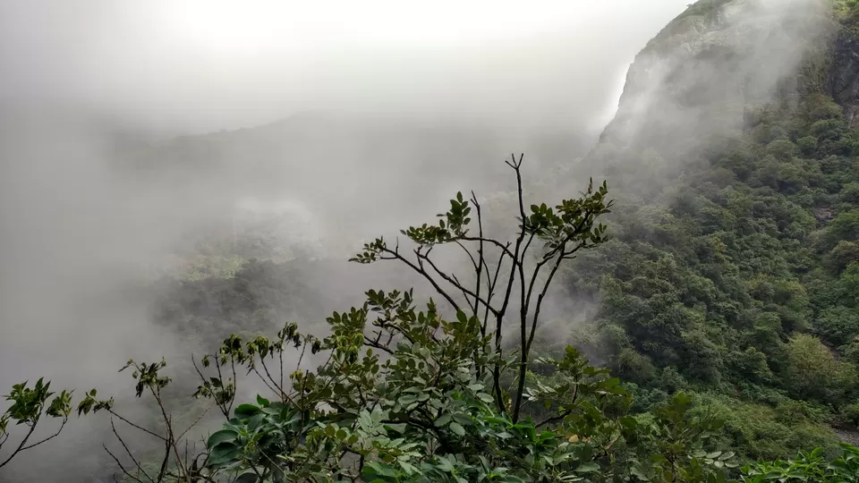 Photo of Andharban Trail start point, Pimpri, Maharashtra, India by Rohit Soni