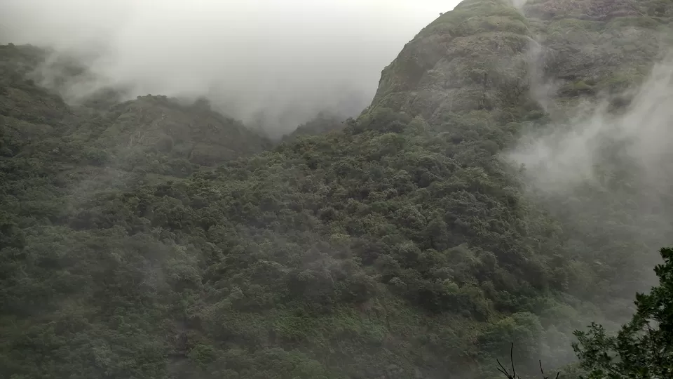 Photo of Andharban Trail start point, Pimpri, Maharashtra, India by Rohit Soni
