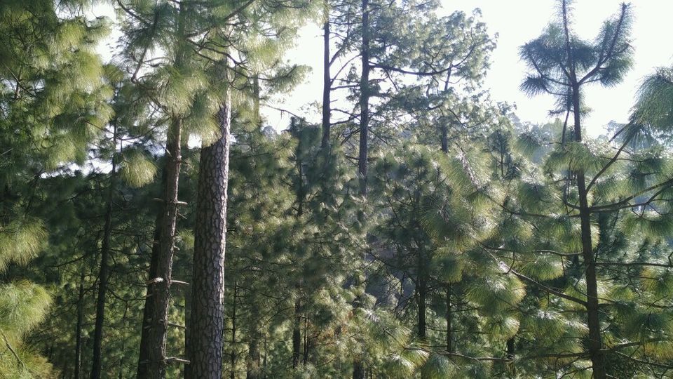 Photo of I Found A New Love Place- By TEJ 6/16 by Rohit Soni