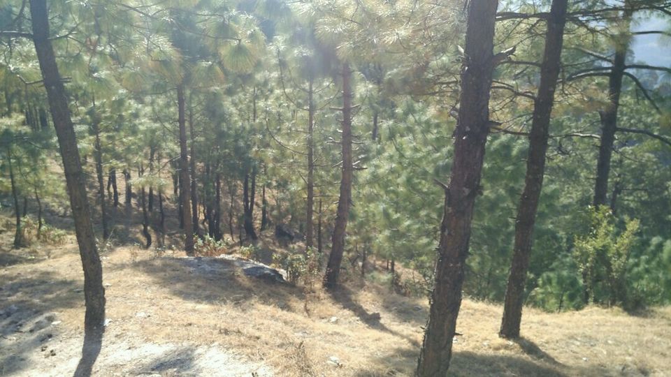 Photo of I Found A New Love Place- By TEJ 9/16 by Rohit Soni