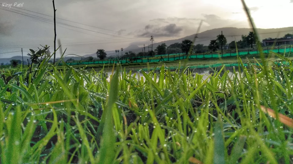 Photo of OFF THE TRACK !! by Niraj Patil