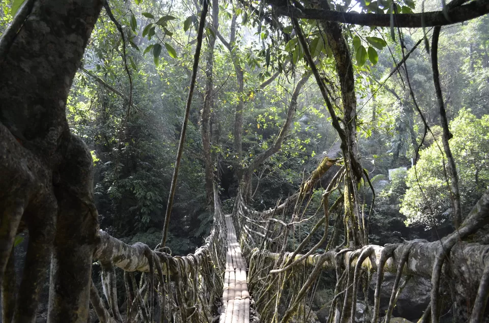 Photo of Nongriat, Meghalaya, India by wayfarer_simi