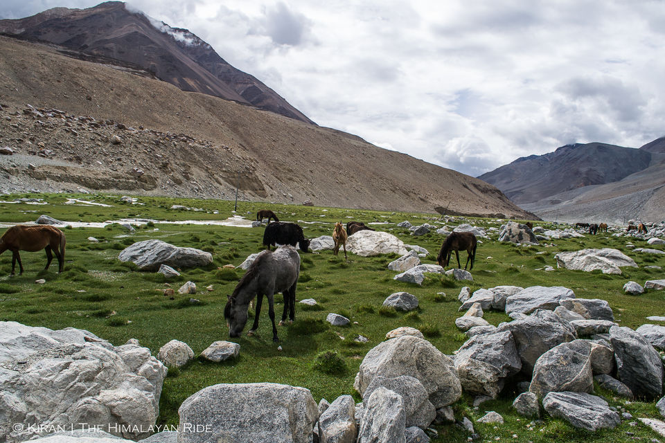 Photo of The great Himalayan Ride #bestof2018 by Kiran Ravi