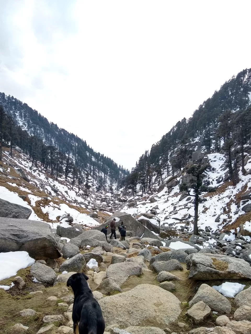 Photo of Kareri Lake, Kareri, Himachal Pradesh by Akshit Gupta
