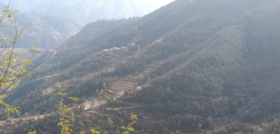 Photo of Beolia, Shimla, Himachal Pradesh, Republic of India by Akshit Gupta