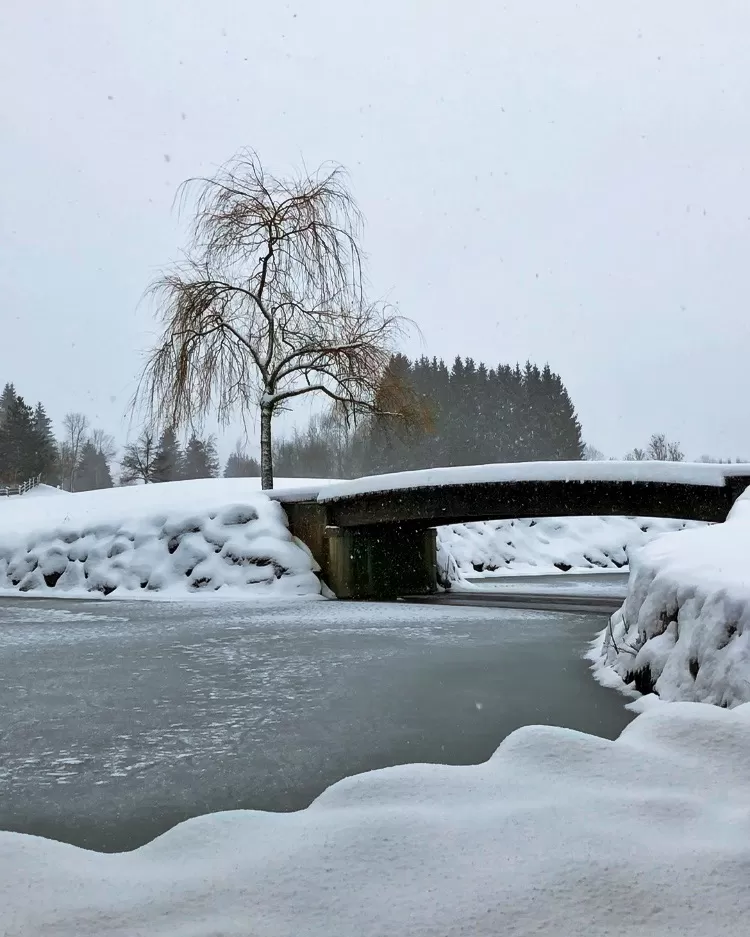 Photo of Streif Viewing: LCD-Portal 1, Hahnenkamm, Kitzbühel, Austria by Shilpa Srinivas