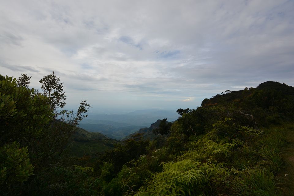 Photo of Srilanka - An Unruffled 5-day Itinerary of a Rookie. #nearindia by Shilpa Srinivas