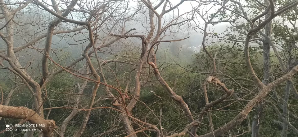 Photo of Ranthambore fort sawai madhopur by Mannsh Singh