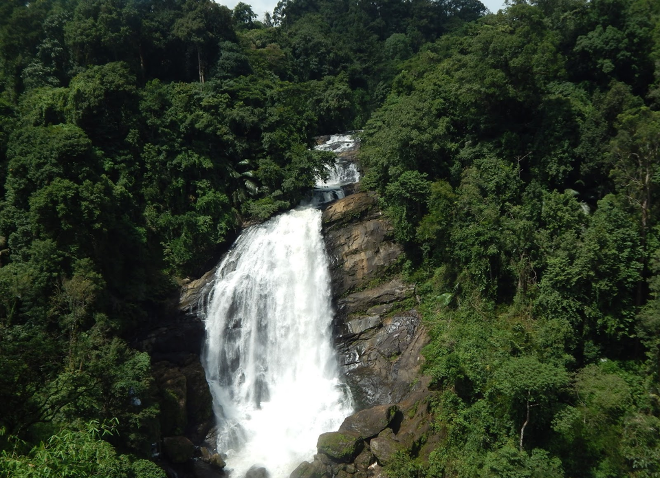 Photo of Munnar, Kerala, India by Uma_Krishanwal