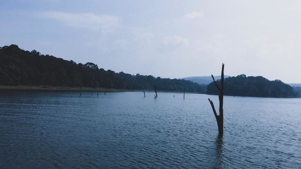 Photo of KERALA- It really is "God's own country"!! by Uma_Krishanwal