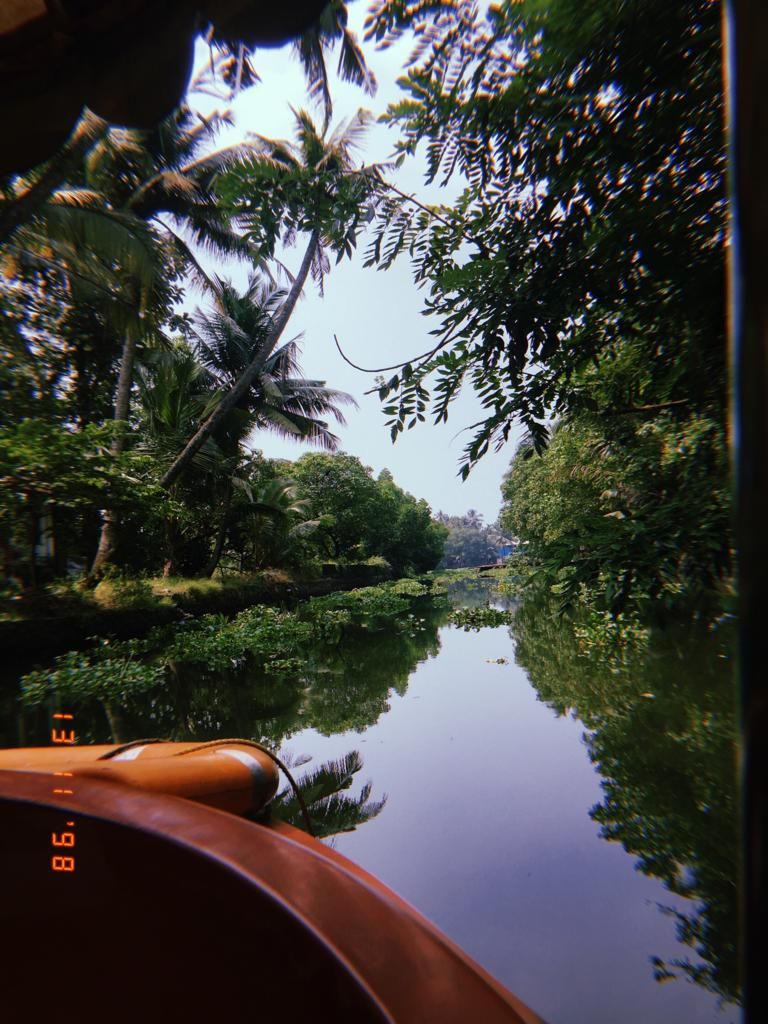 Photo of KERALA- It really is "God's own country"!! by Uma_Krishanwal