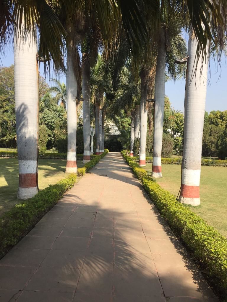 Photo of Udaipur 3N/4D trip 8/17 by Durgesh