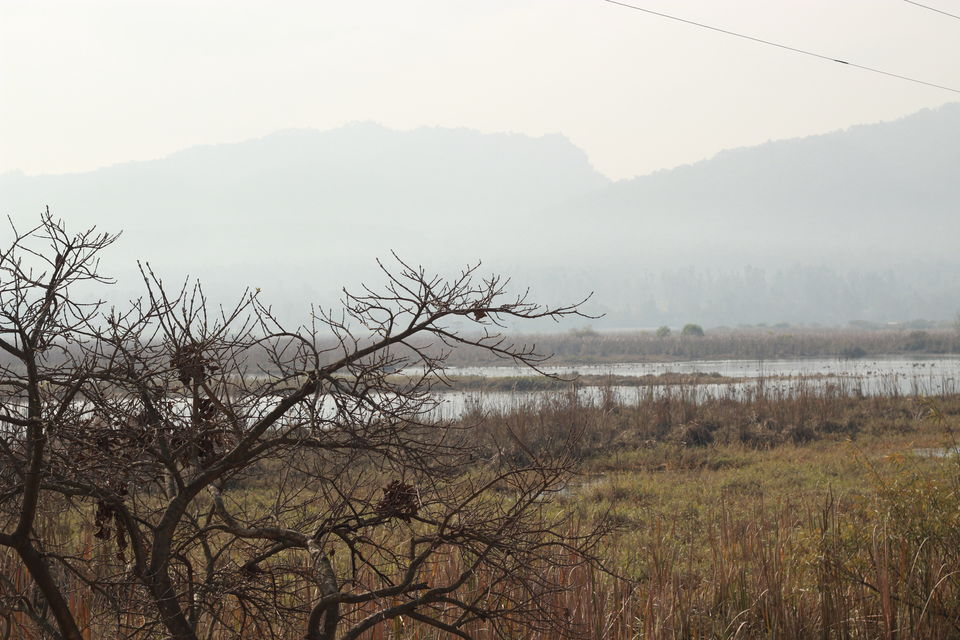 Photo of Journey passing from one mountain to many other mountains (Dehradun to Shimla) 1/14 by Abhigya Singh