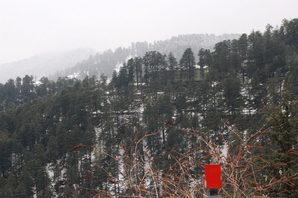 Photo of Journey passing from one mountain to many other mountains (Dehradun to Shimla) 6/14 by Abhigya Singh