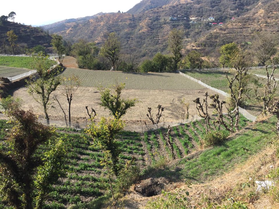 Photo of Journey passing from one mountain to many other mountains (Dehradun to Shimla) 11/14 by Abhigya Singh
