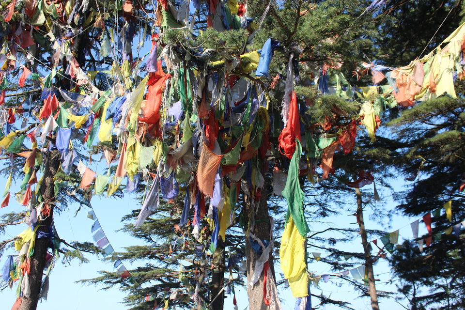 Photo of George Everest, Khanij Nagar, Mussorie Range, Uttarakhand, India by Abhigya Singh