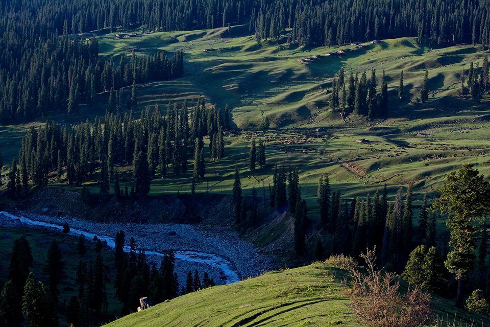 Photo of Keeping Up With Kashmir - From Tanks To Tents In This Hidden Meadow by Akshi Aggarwal