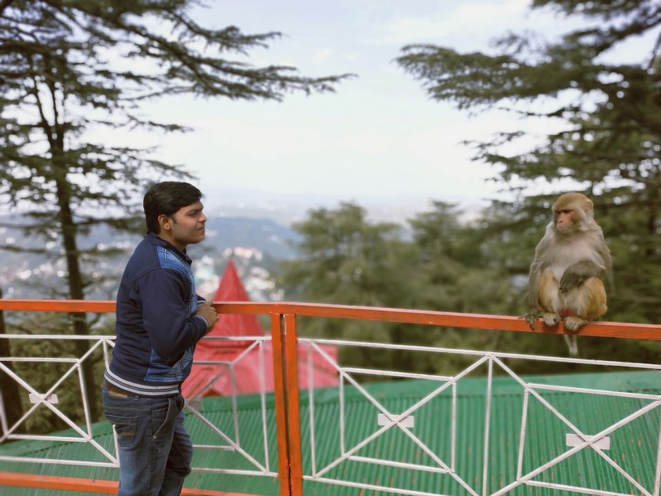Photo of Journey to shimla: open toy train,kufri snowfall and more by Raghav Supertramp
