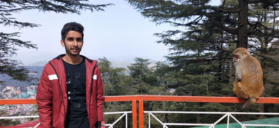 Photo of Journey to shimla: open toy train,kufri snowfall and more by Raghav Supertramp