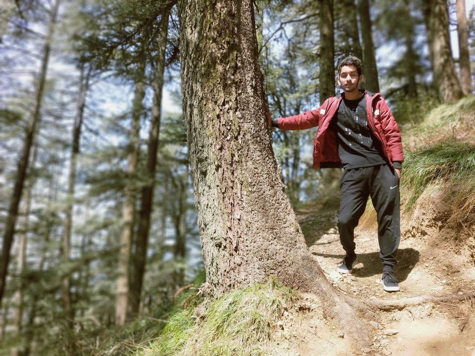 Photo of Journey to shimla: open toy train,kufri snowfall and more by Raghav Supertramp
