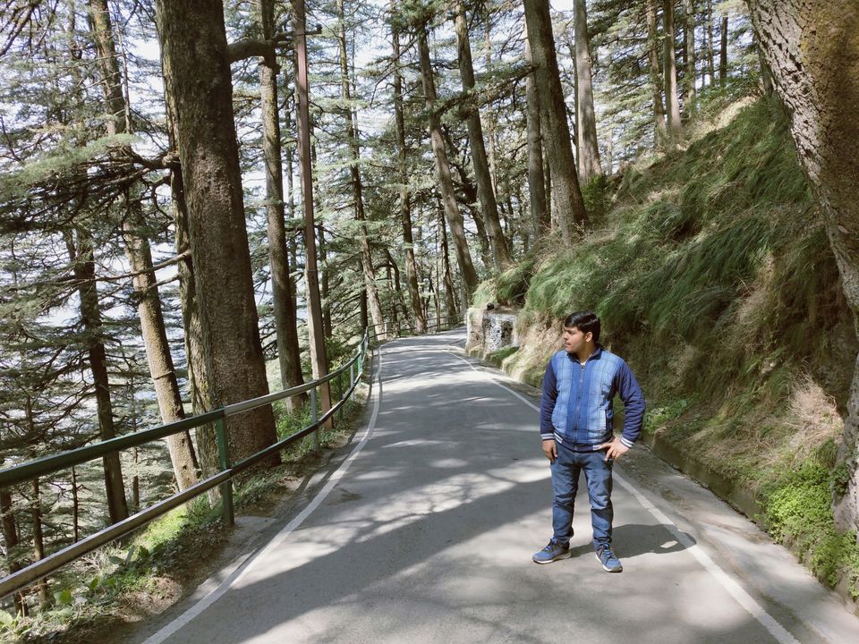 Photo of Journey to shimla: open toy train,kufri snowfall and more by Raghav Supertramp