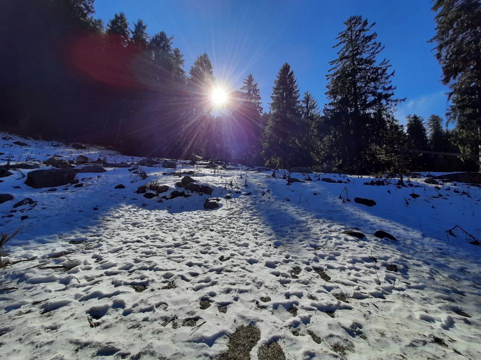 Photo of Trip to Kasol, Manikaran Gurudwara and Kheerganga by Himanshu Rajput