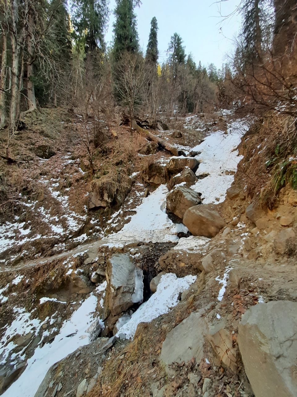 Photo of Trip to Kasol, Manikaran Gurudwara and Kheerganga by Himanshu Rajput
