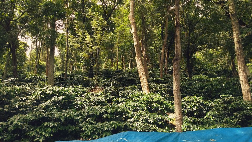 Photo of VISHAKHAPATNAM | THINGS TO DO | TWO DAYS ITINERARIES | ARAKU VALLEY BUS TOUR by Sagar Sharma