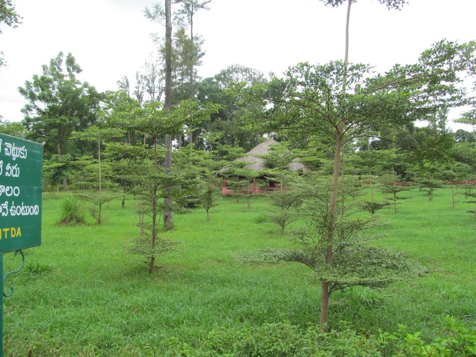 Photo of VISHAKHAPATNAM | THINGS TO DO | TWO DAYS ITINERARIES | ARAKU VALLEY BUS TOUR by Sagar Sharma
