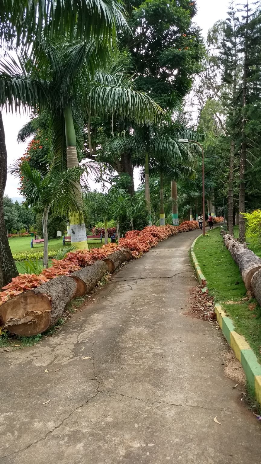 Photo of VISHAKHAPATNAM | THINGS TO DO | TWO DAYS ITINERARIES | ARAKU VALLEY BUS TOUR by Sagar Sharma