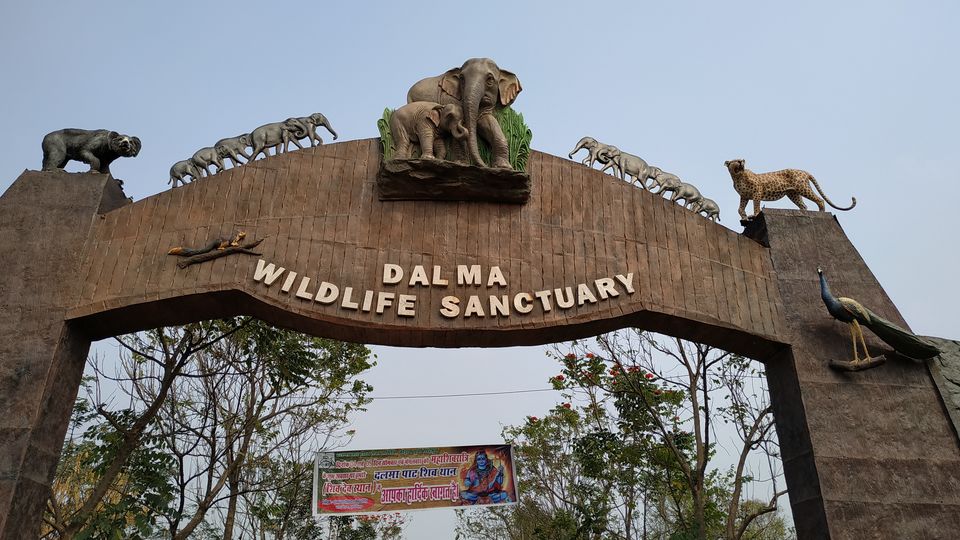 dalma wildlife sanctuary safari