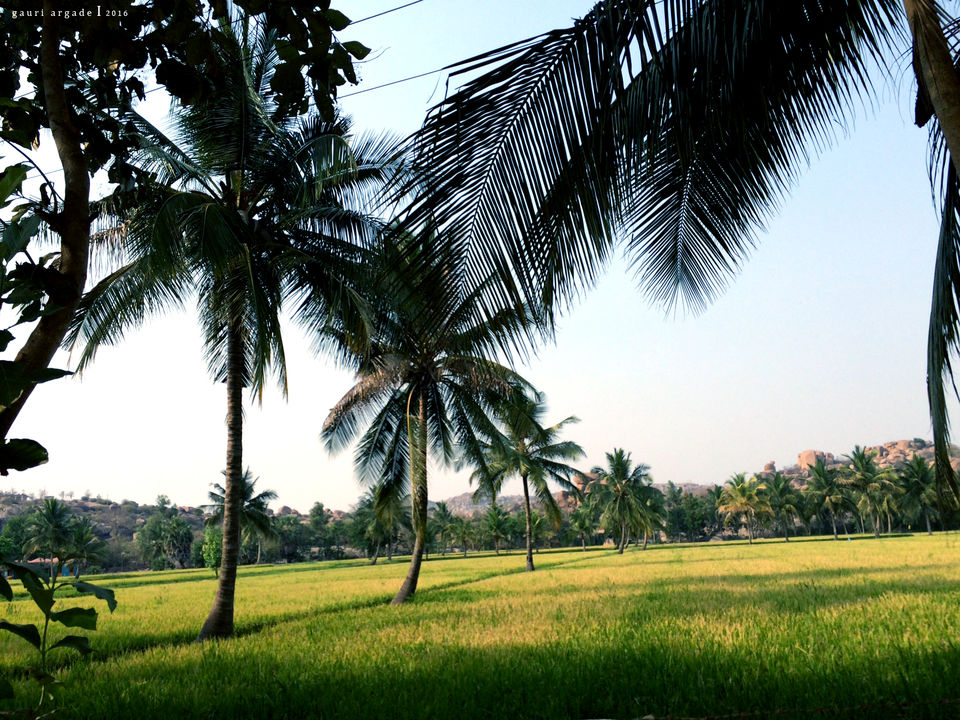 Photo of Hampi Travelogue 1/32 by Gauri Argade