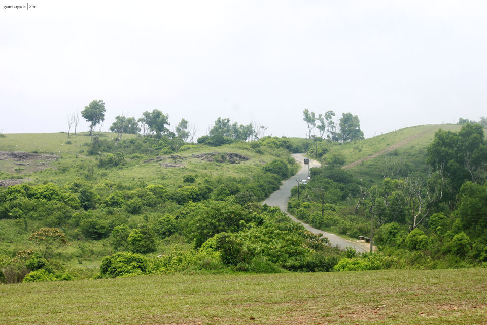 Photo of Pristine Kerala- Thekkady 4/21 by Gauri Argade