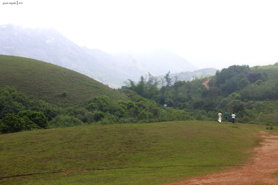 Photo of Pristine Kerala- Thekkady 5/21 by Gauri Argade
