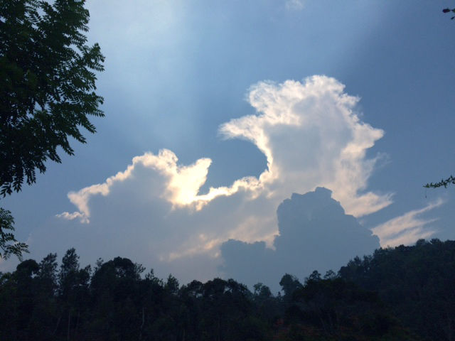 Photo of Pristine Kerala- Thekkady 9/21 by Gauri Argade
