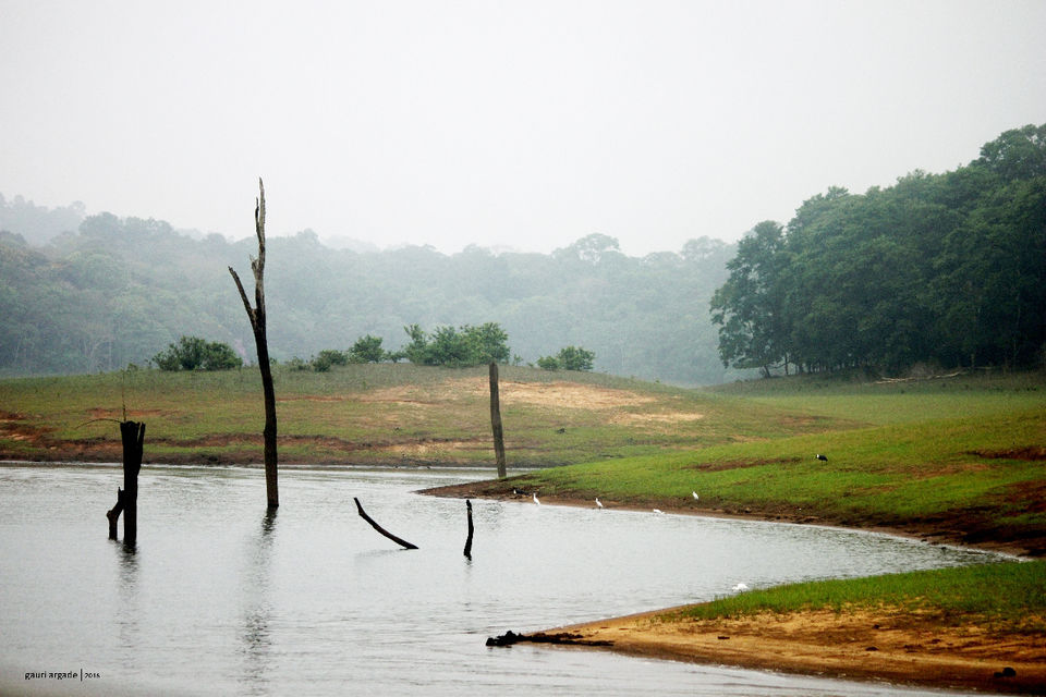 Photo of Pristine Kerala- Thekkady 11/21 by Gauri Argade