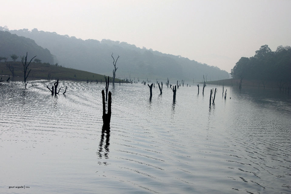 Photo of Pristine Kerala- Thekkady 14/21 by Gauri Argade