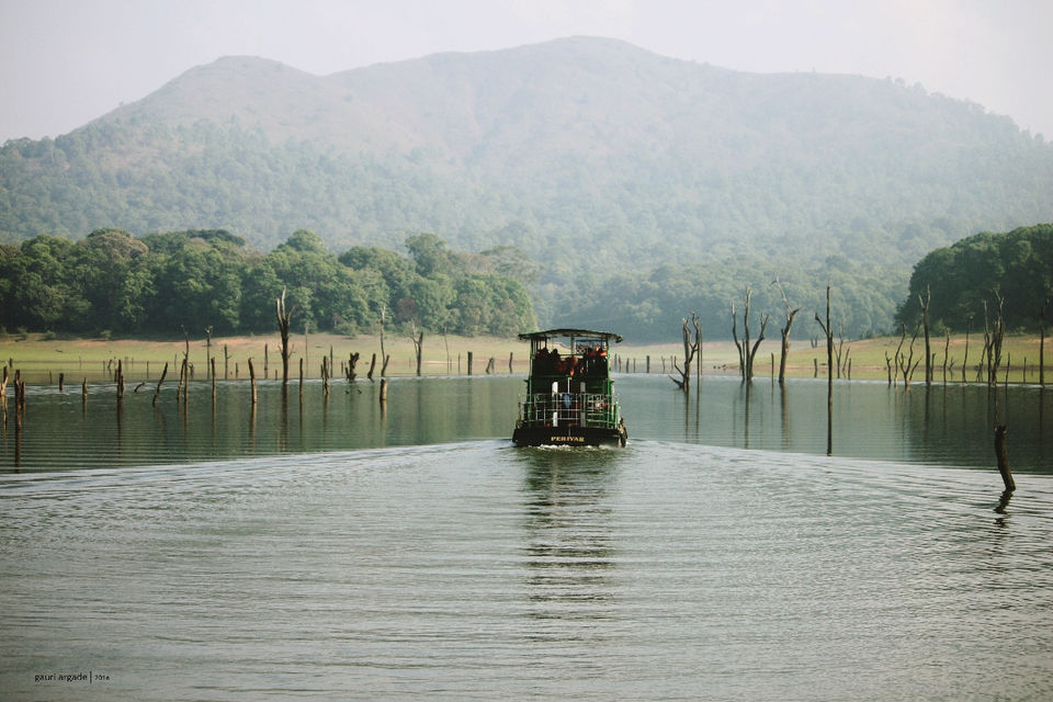 Photo of Pristine Kerala- Thekkady 15/21 by Gauri Argade
