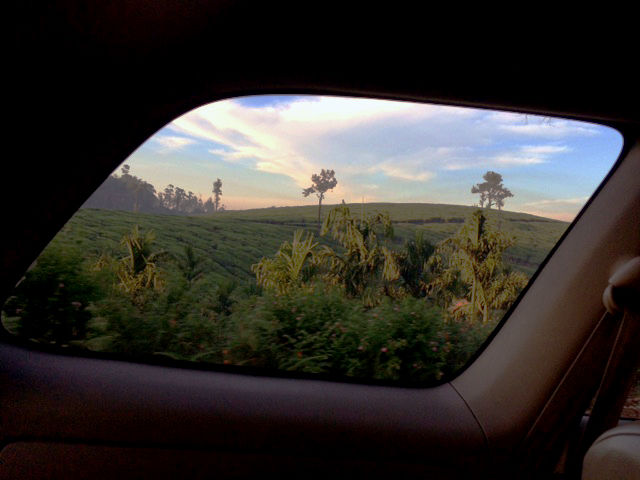 Photo of Pristine Kerala- Thekkady 21/21 by Gauri Argade