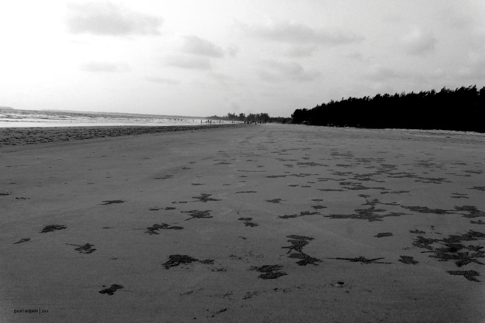 Photo of Tarkarli- Malvan 1/12 by Gauri Argade