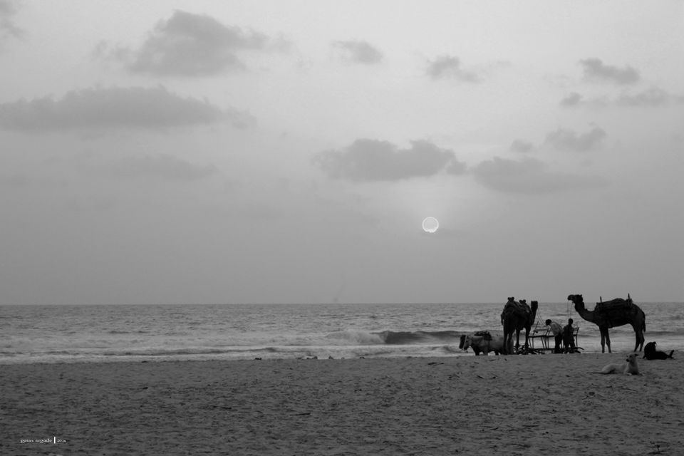 Photo of Tarkarli- Malvan 6/12 by Gauri Argade