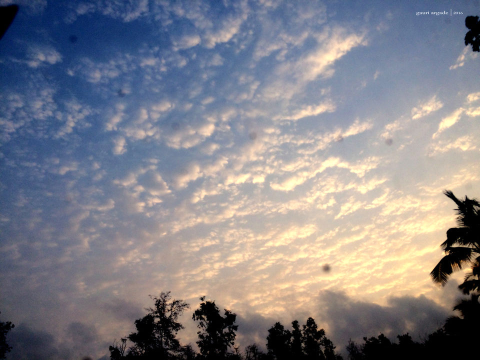 Photo of Tarkarli- Malvan 8/12 by Gauri Argade