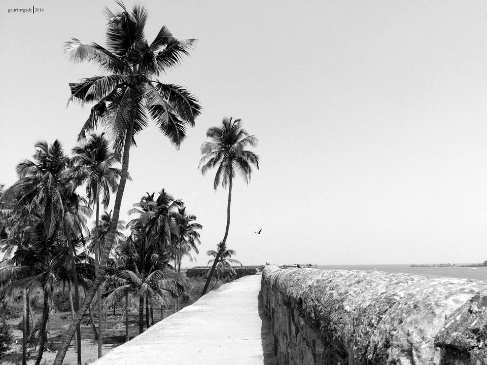 Photo of Tarkarli- Malvan 11/12 by Gauri Argade