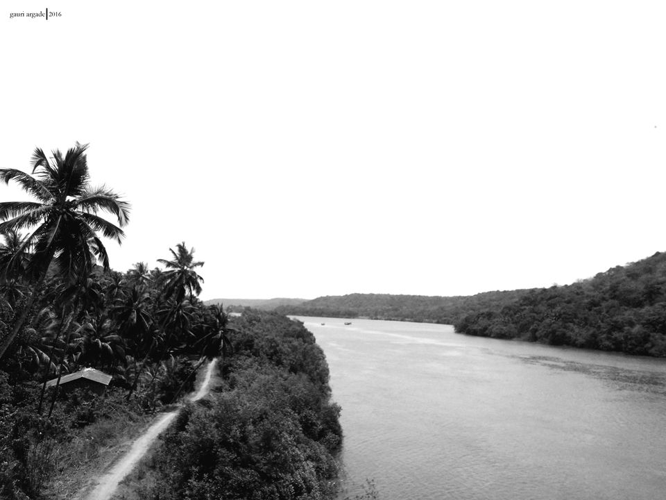 Photo of Tarkarli- Malvan 12/12 by Gauri Argade