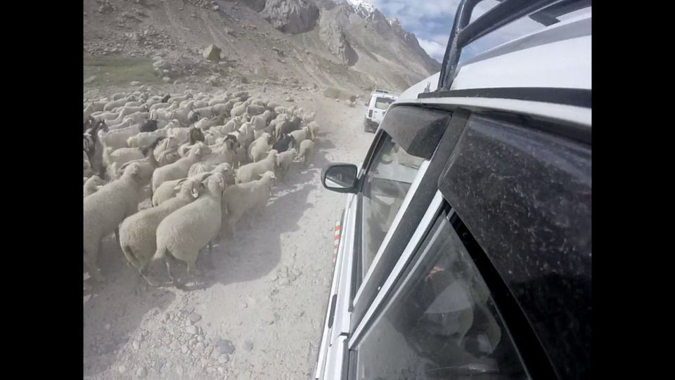 Photo of HAMPTA PASS - CONQUER FROM WITHIN 9/14 by Gauri Argade