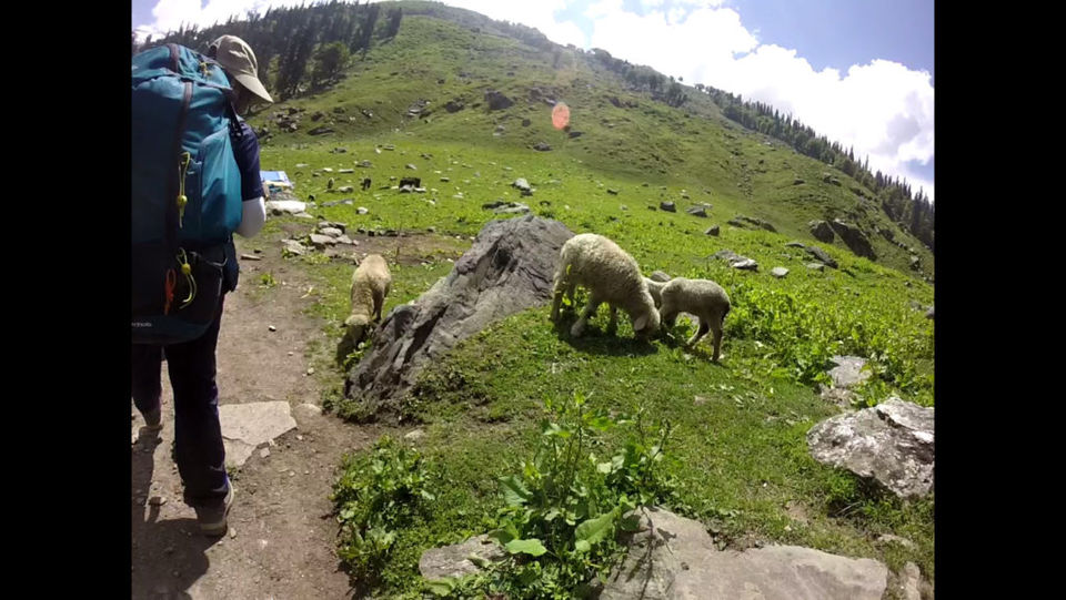 Photo of HAMPTA PASS - CONQUER FROM WITHIN 3/14 by Gauri Argade